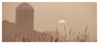 DNSEMP-L-334-BZ Harvest Sunrise Bronze